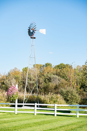 DSC_1946