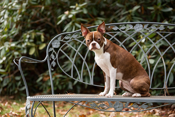 DSC_1426