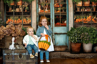 Mini Session Galleries