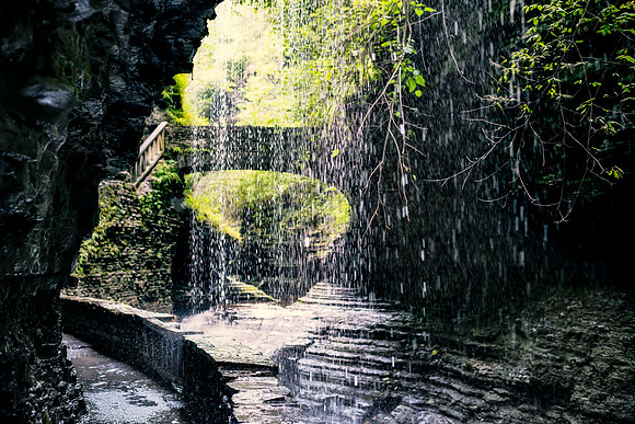DSC_2267