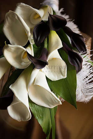 Details_4565