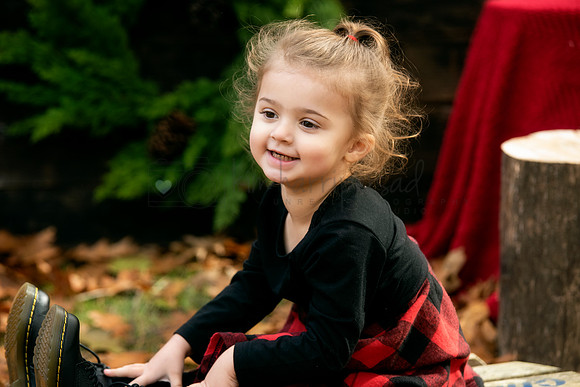 NIKON D8101114