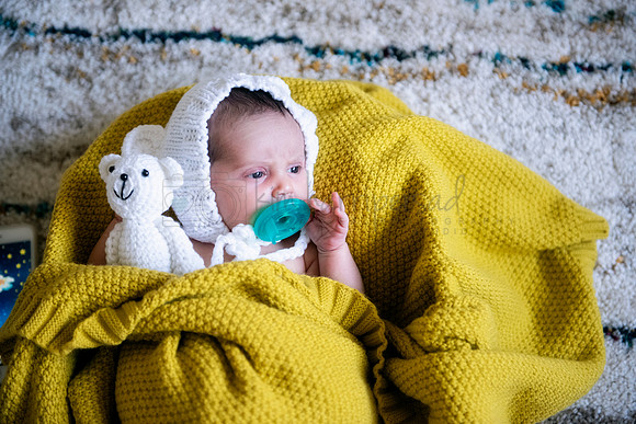 DSC_3810