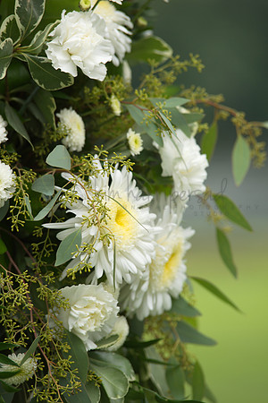DSC_7921