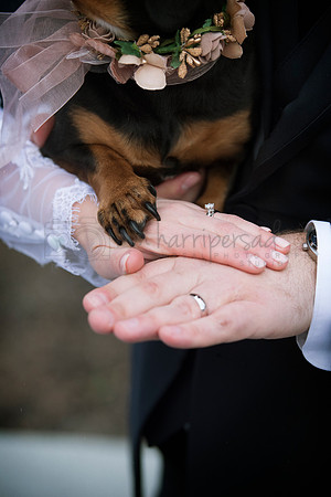 Bride & Groom_8283