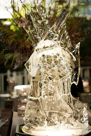 Details_9236