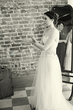 DSC_6516 bw